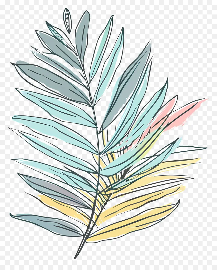 Palmiye Yaprağı，Yapraklı Bitki PNG