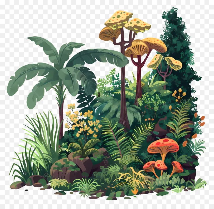Orman Bitki örtüsü，Orman PNG