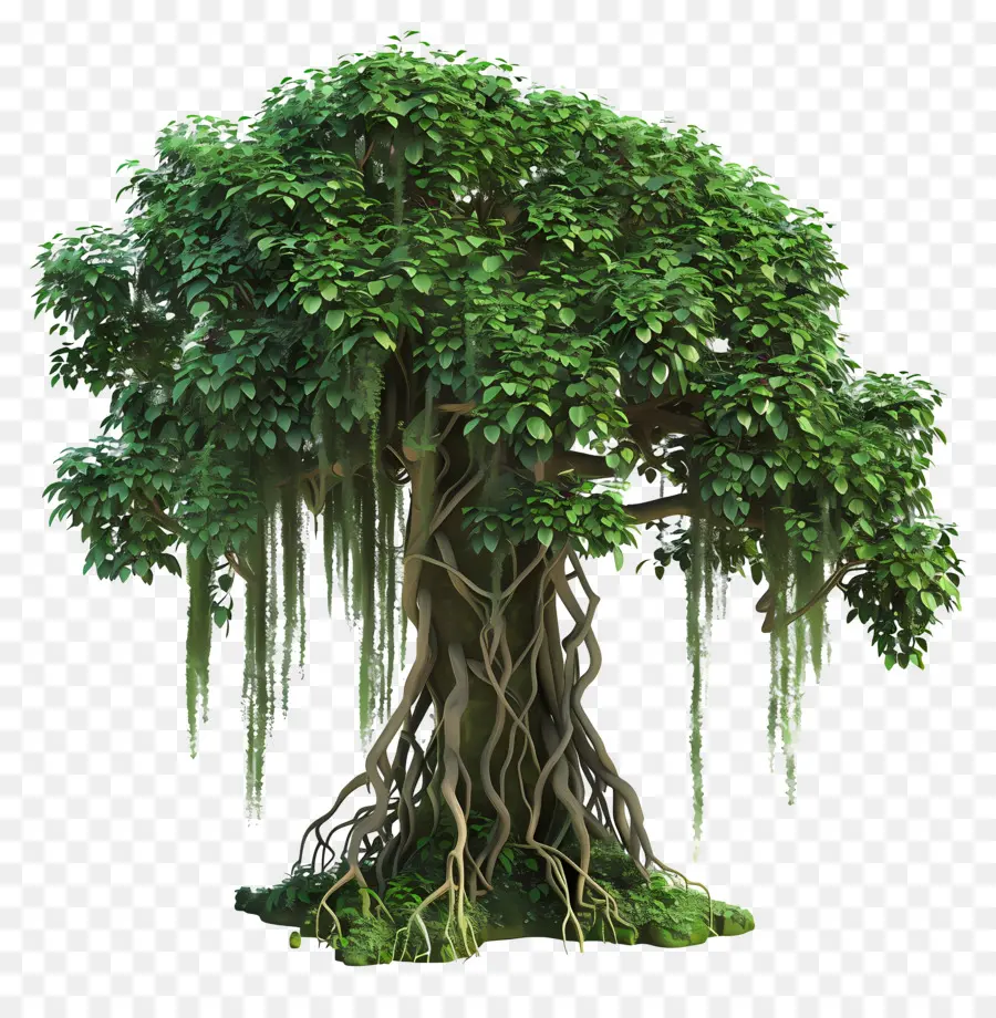 Yağmur Ormanı Ağacı，Yeşil Ağaç PNG