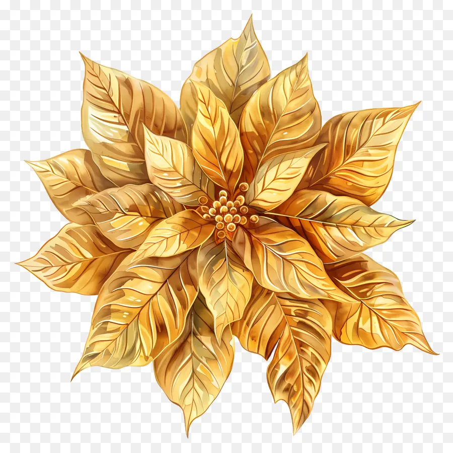 Poinsettia，Altın PNG