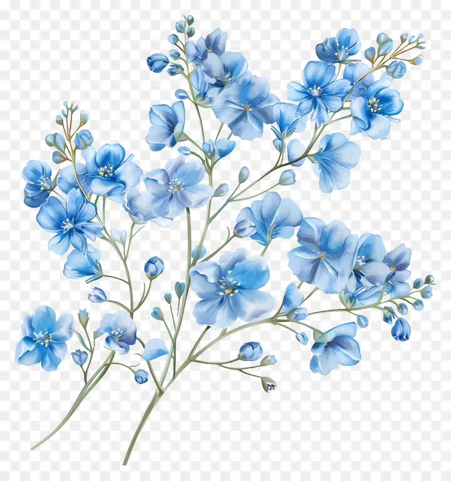 Bebekler Nefes çiçeği，Mavi çiçek PNG