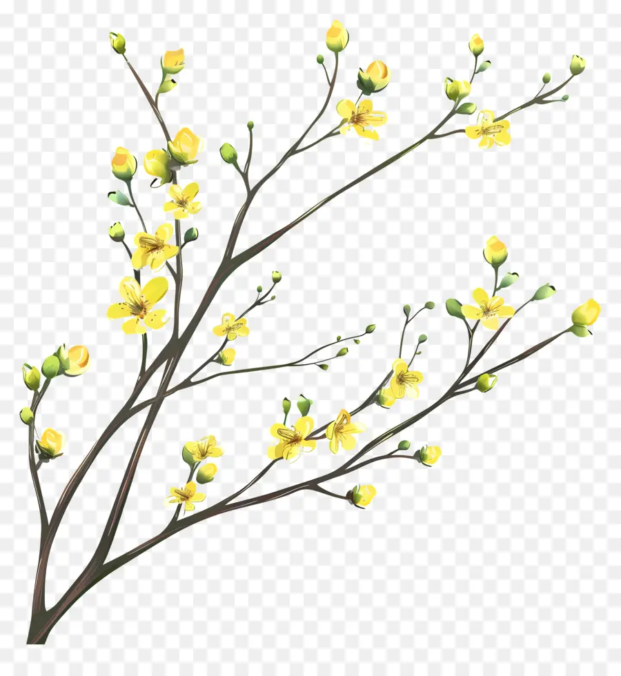 Küçük Sarı çiçek，Çiçekli Ağaç Şubesi PNG