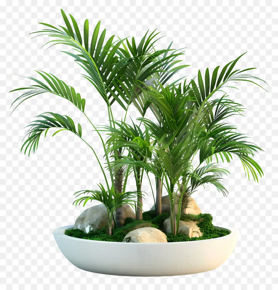 Bahçe Bitkileri，Beyaz Ekici PNG