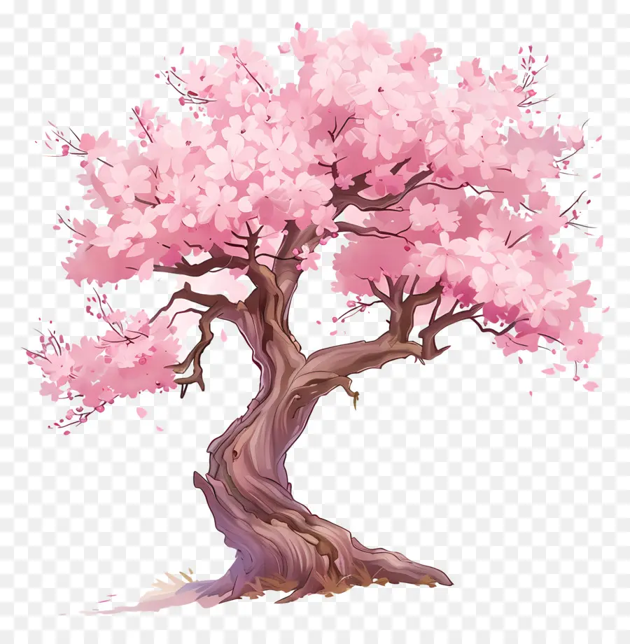 Sakura Ağacı，Pembe Kiraz Ağacı PNG
