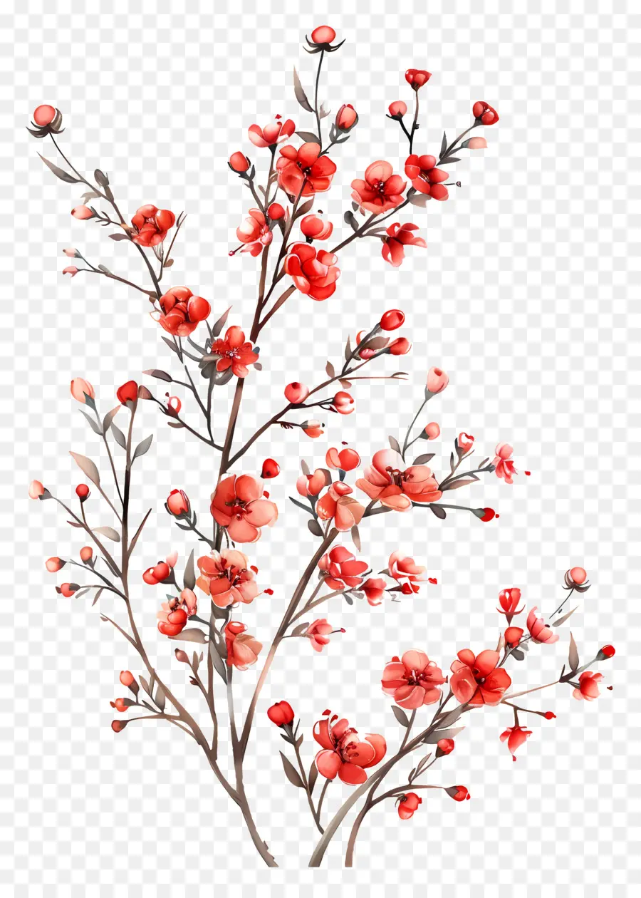 Küçük Kırmızı çiçekler，Suluboya Resim PNG