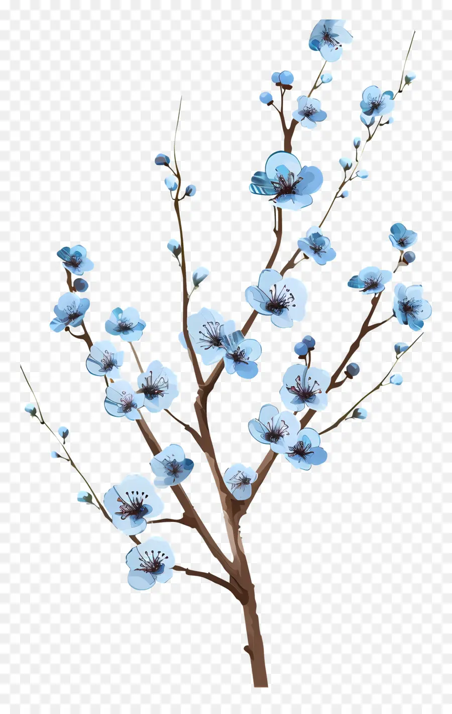 Küçük Mavi çiçekler，Ağaç Dalı PNG