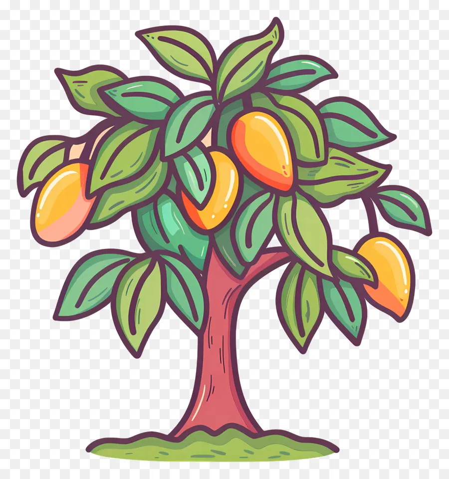 Mango Ağacı，Olgun Mango PNG