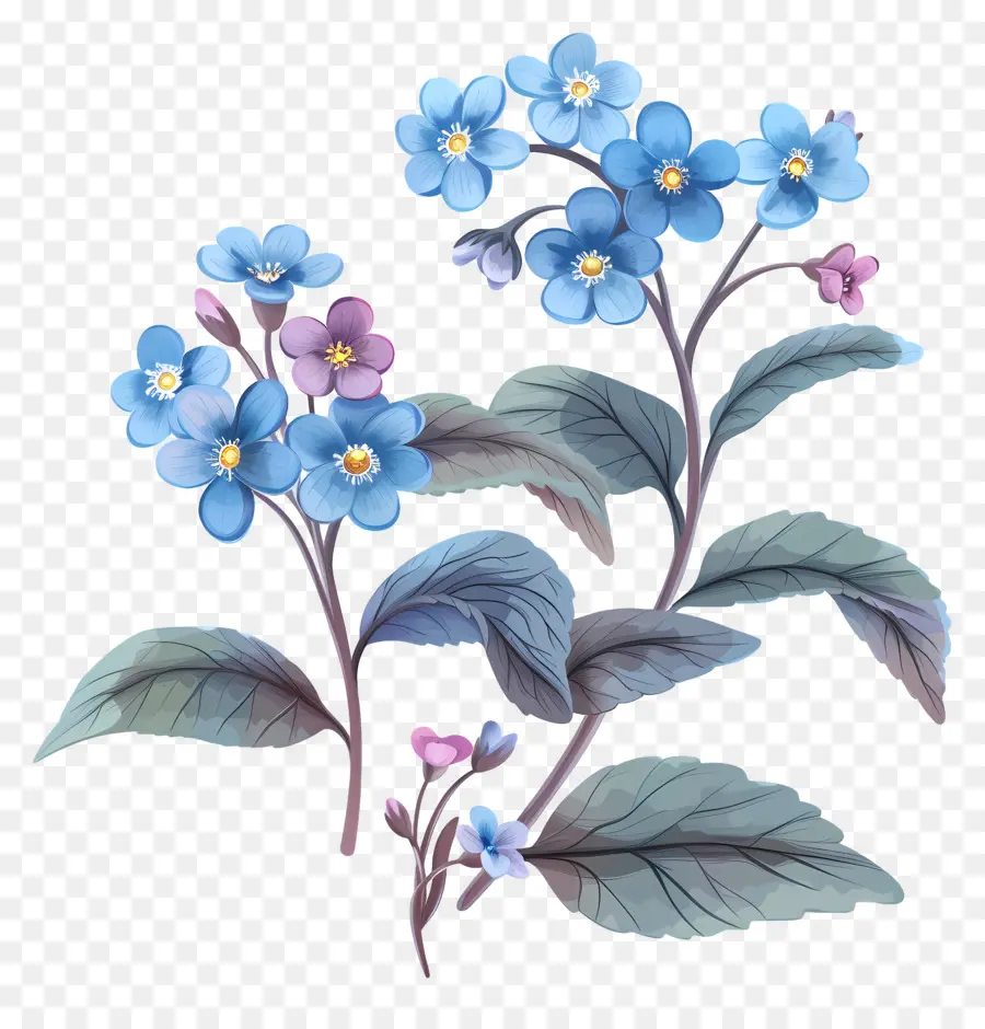 Unutma Beni çiçekleri，Mavi Ve Pembe çiçek PNG
