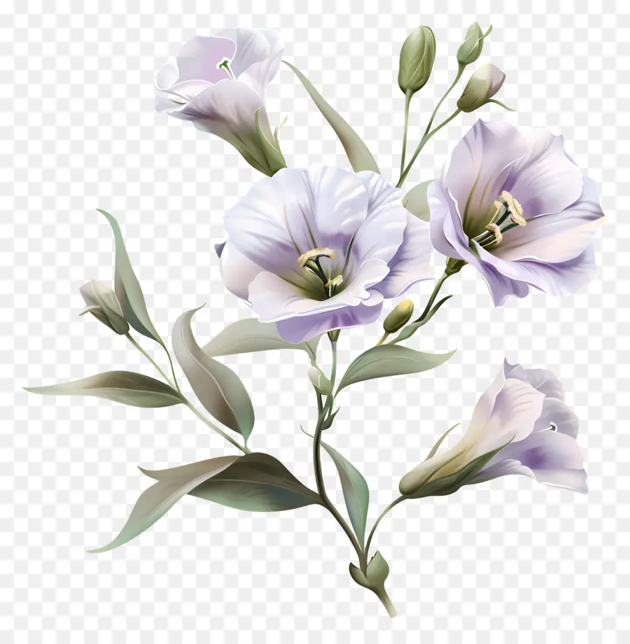 Lisianthus çiçeği，Mor Çiçekler PNG