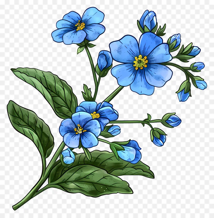 Unutma Beni çiçekleri，Mavi çiçek PNG