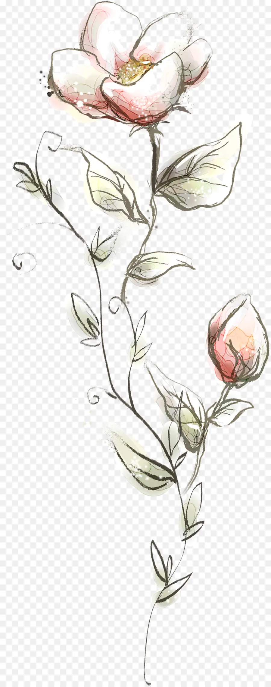 Petunya çiçeği，Pembe çiçek PNG