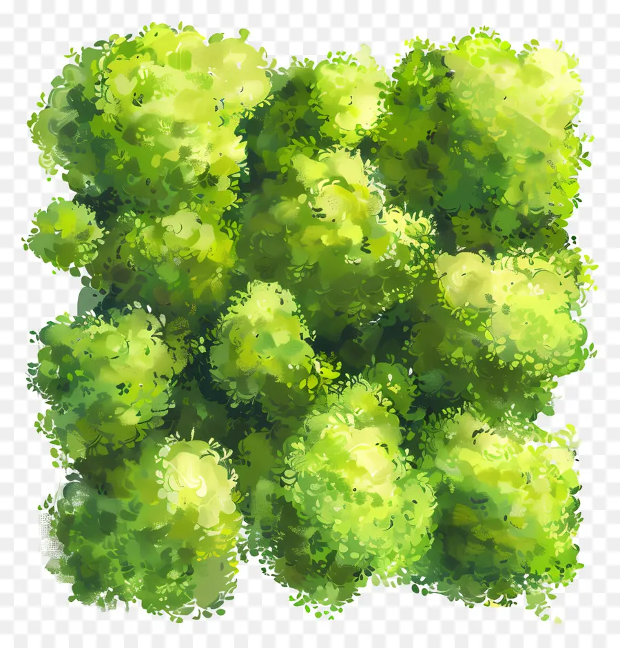 Yeşil Yosun，Yeşil çalılar PNG