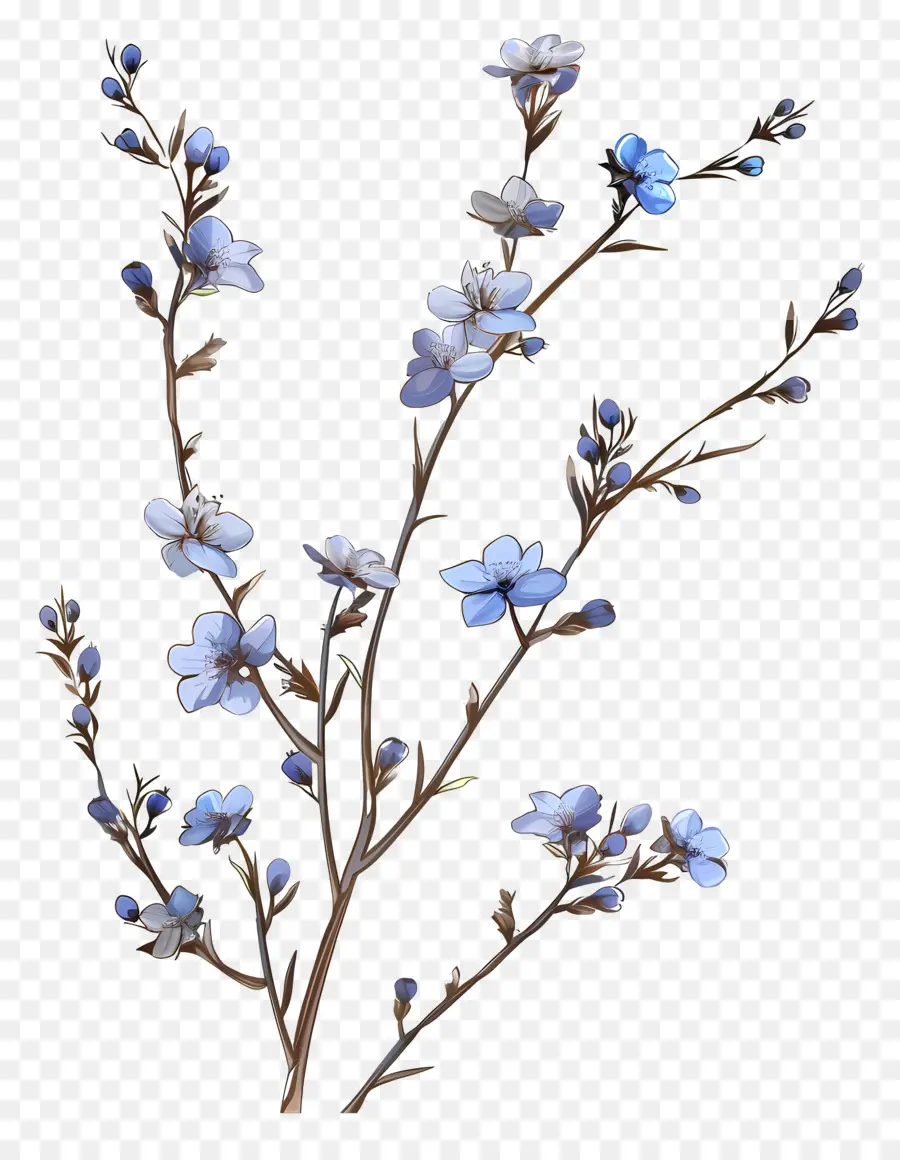 Küçük Mavi çiçekler，Mavi çiçekler PNG