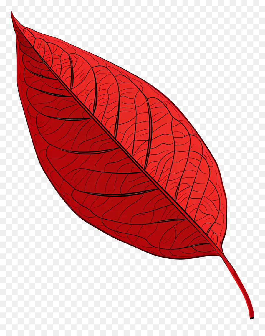 Kırmızı Yaprak Clipart，Kırmızı Yaprak PNG