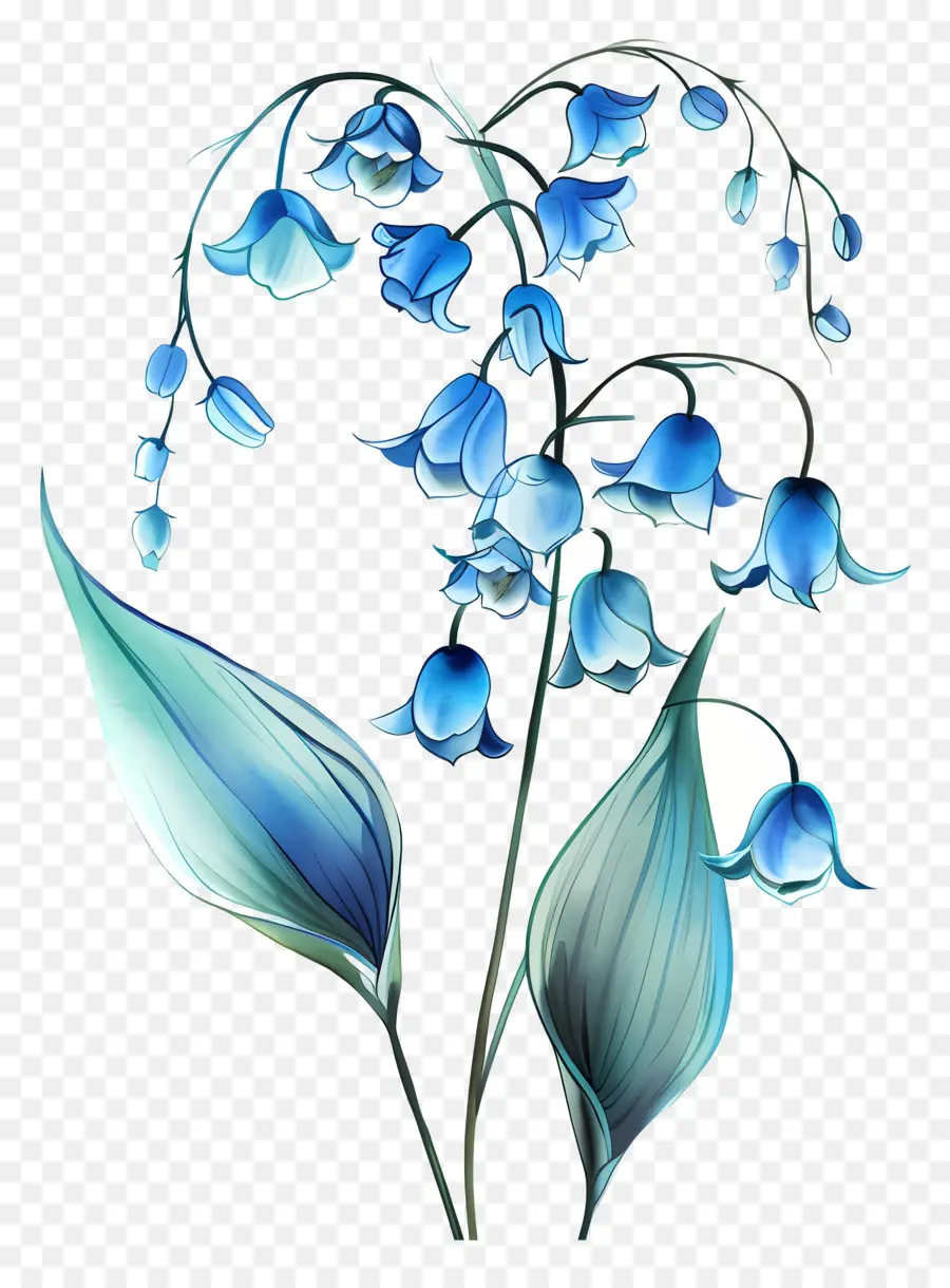 Vadi Mavi Lily，çiçek Buketi PNG