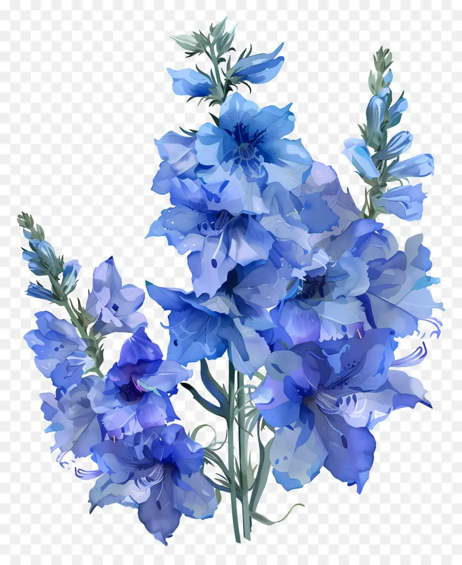 Larkspur Çiçeği，Mavi Ortanca PNG