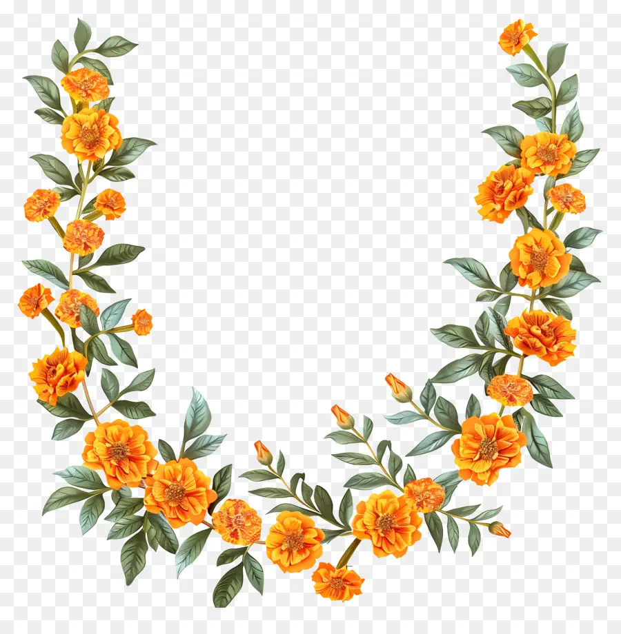 Marigold Çiçek Toran，çiçek çelenk PNG