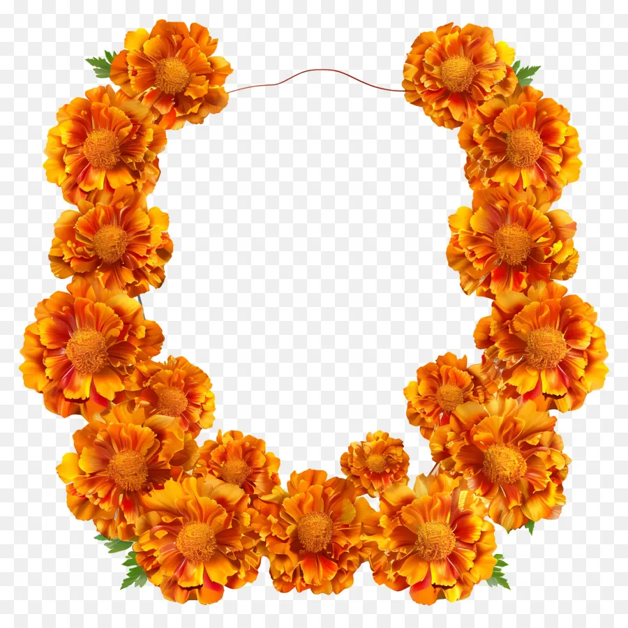 Marigold Çiçek Toran，Turuncu çiçekler PNG