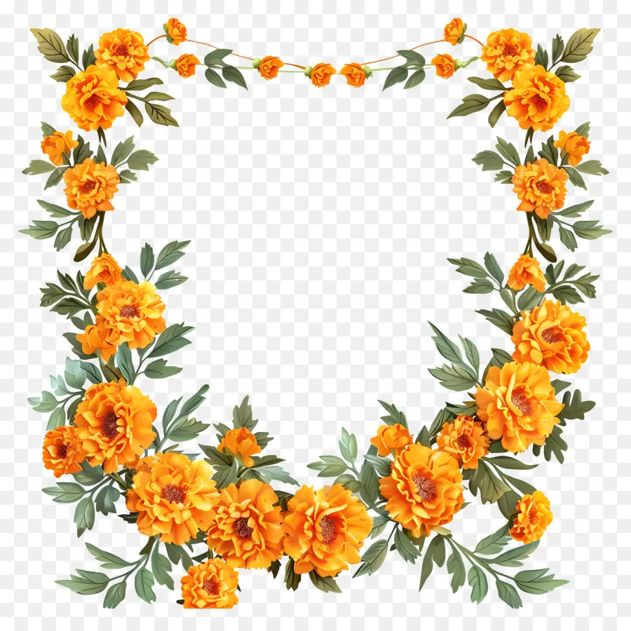Marigold Çiçek Toran，Kadife çiçeği PNG