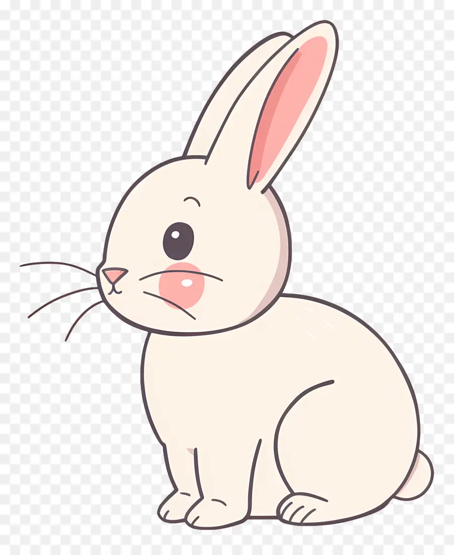 Karikatür Tavşan，Beyaz Tavşan PNG