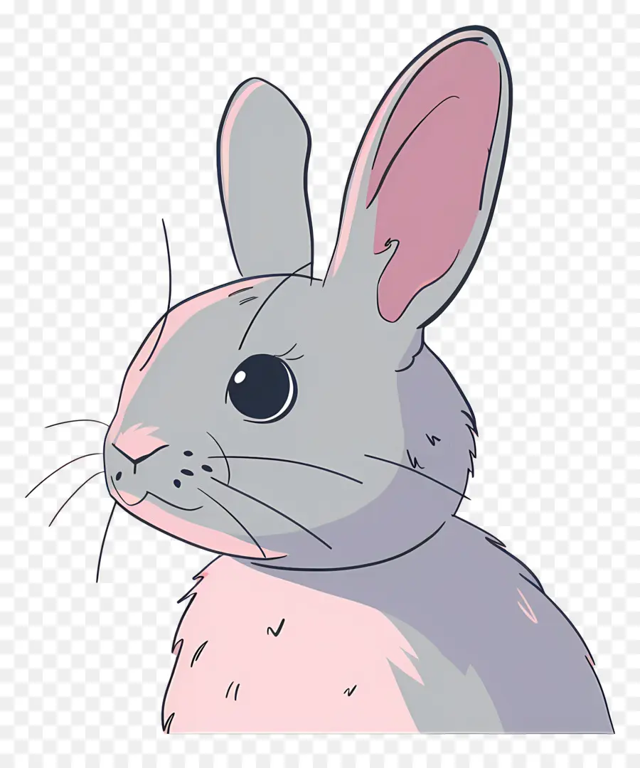 Karikatür Tavşan，Beyaz Tavşan PNG