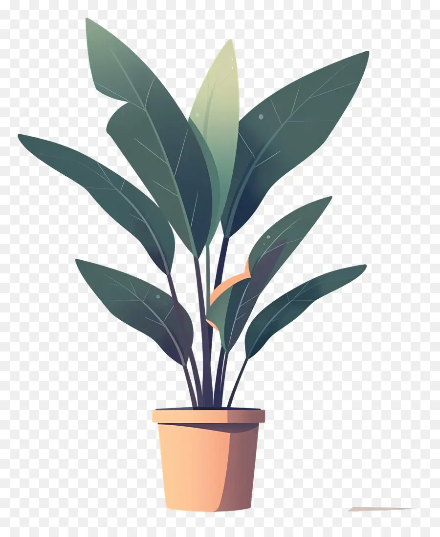 Saksı Bitkisi，Koyu Yeşil Yaprakları PNG