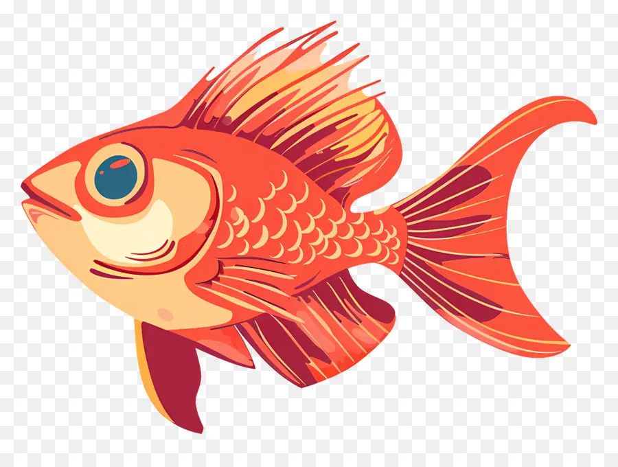 Balık，Japon Balığı PNG