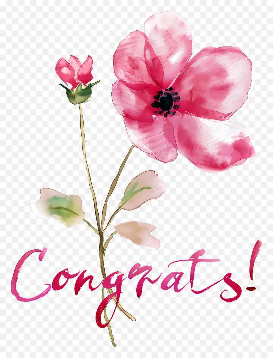 Tebrikler，Pembe çiçek PNG