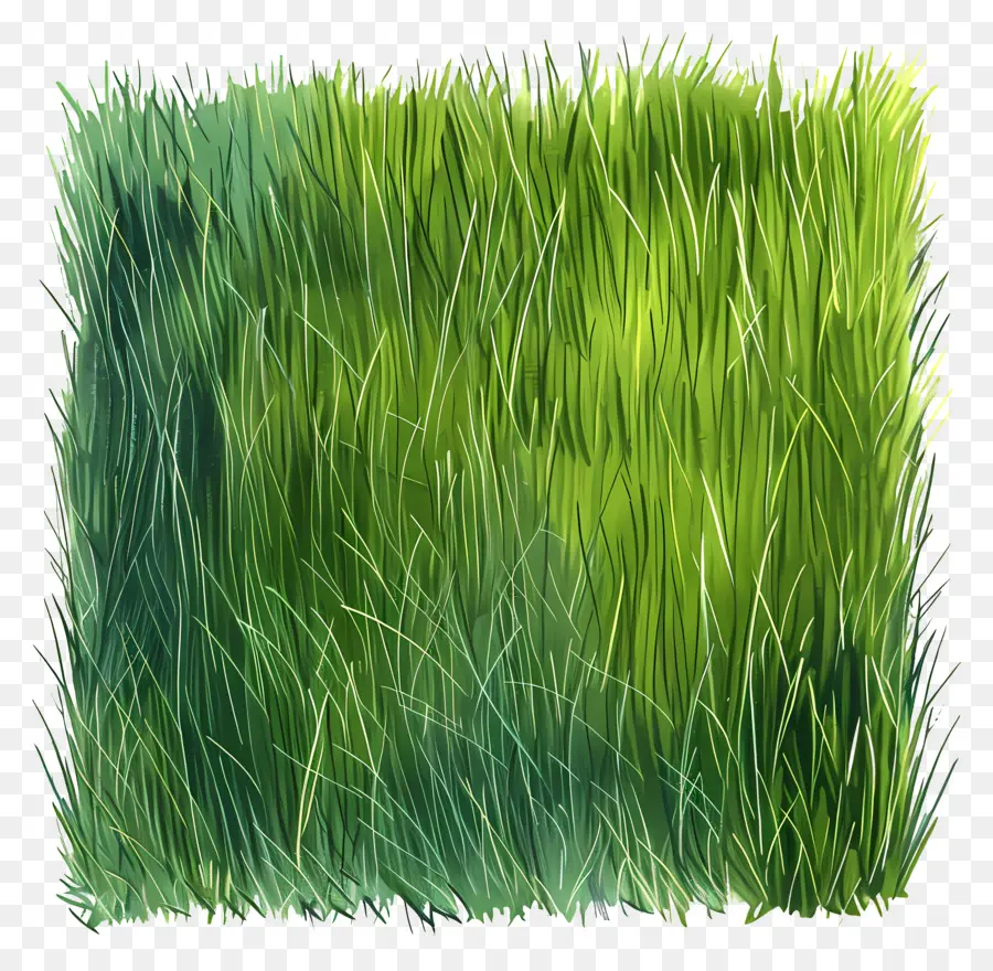 Çim Saha，Yeşil çimen PNG