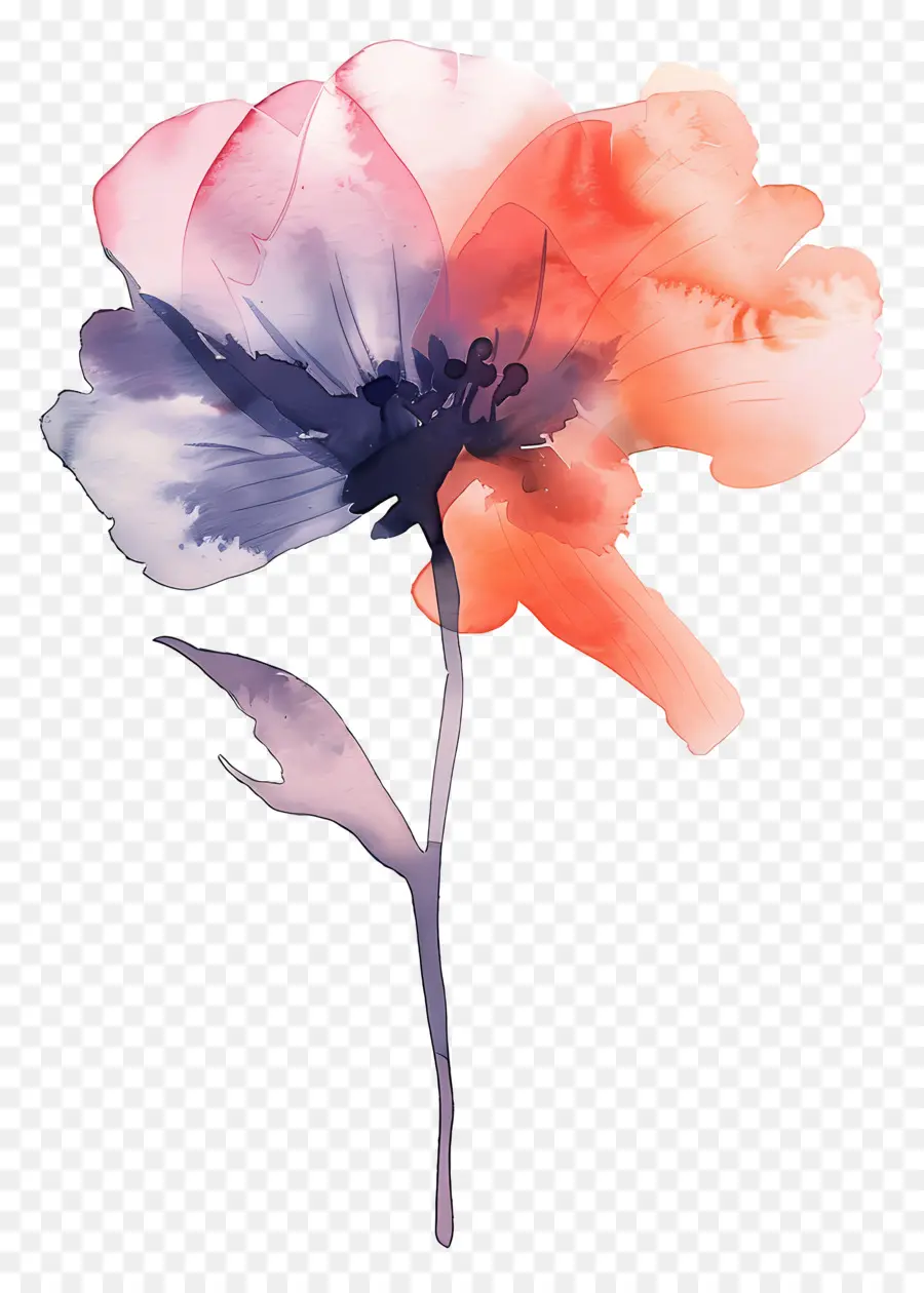Suluboya çiçek，çiçek Boyama PNG