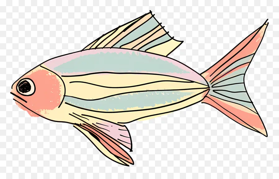 Balık，Balık Illüstrasyon PNG
