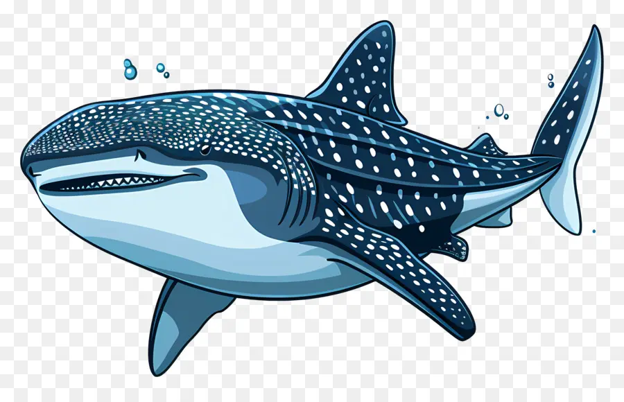 Balina Köpekbalığı，Karikatür PNG