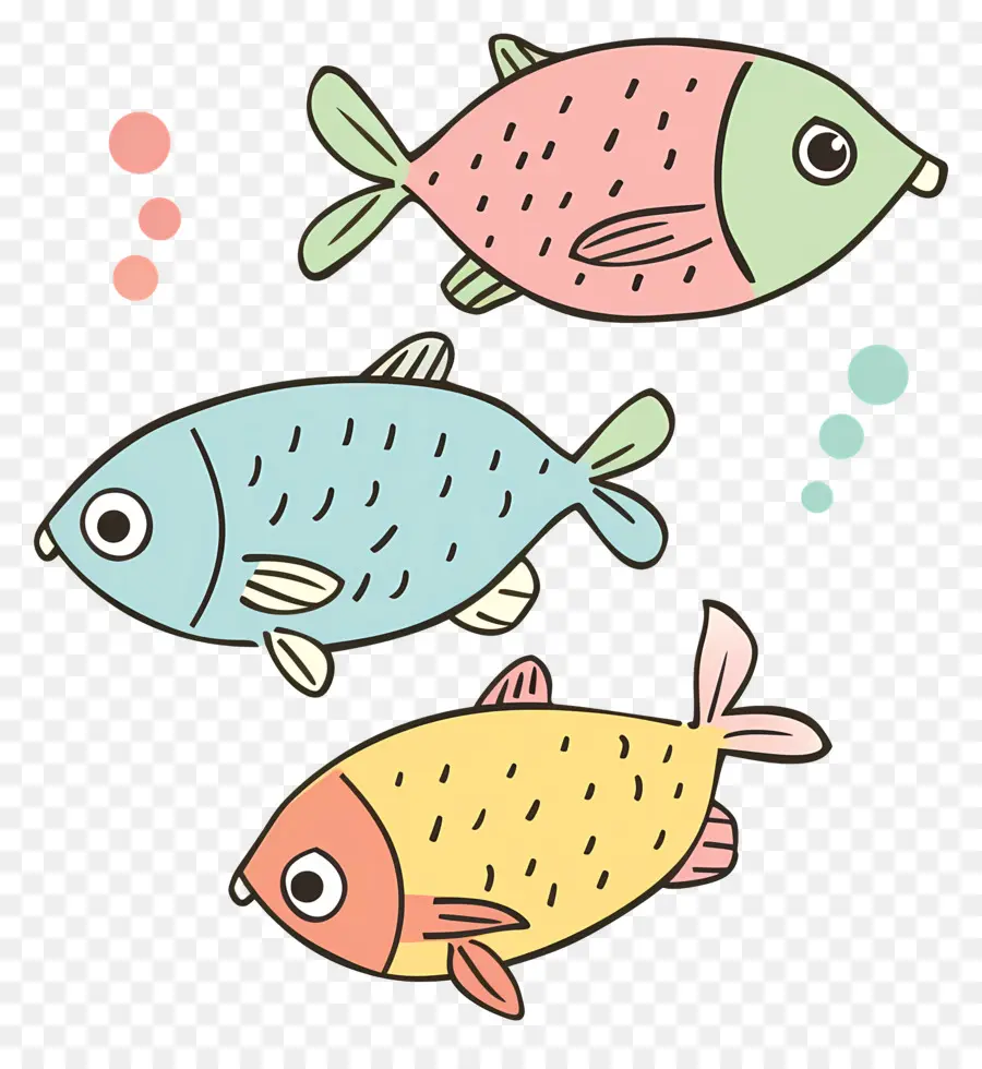 Balık，Renk PNG
