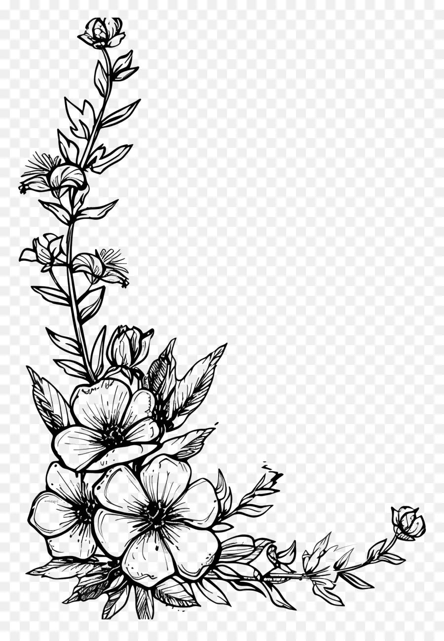 Sınır Anahat，çiçek Tasarımı PNG