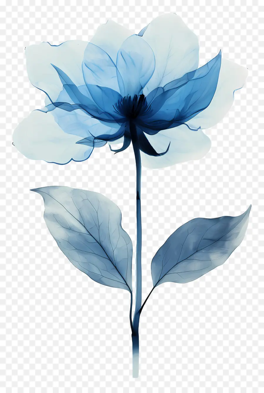 Mavi çiçek，çiçek PNG