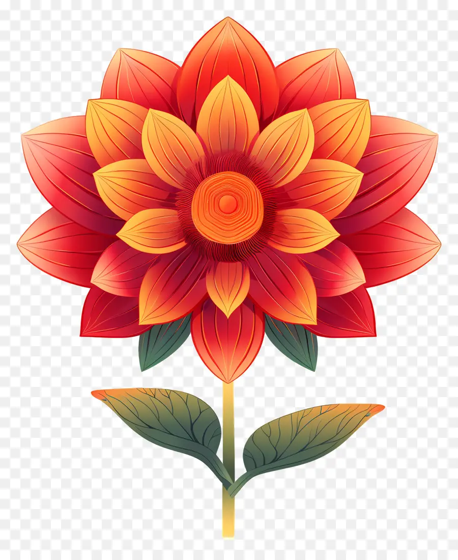 Onam Çiçeği，çiçek PNG