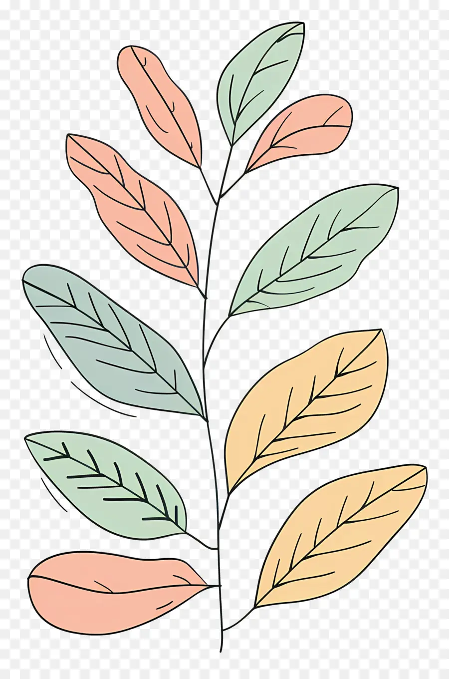 Ağaç Dalı，Renkli Yaprakları PNG