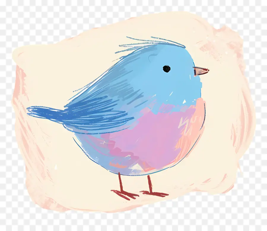 Mavi Kuş，Renkli Kuş PNG