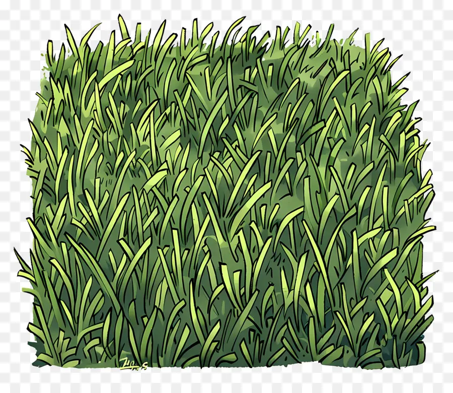 Çim Saha，Yeşil çimen PNG