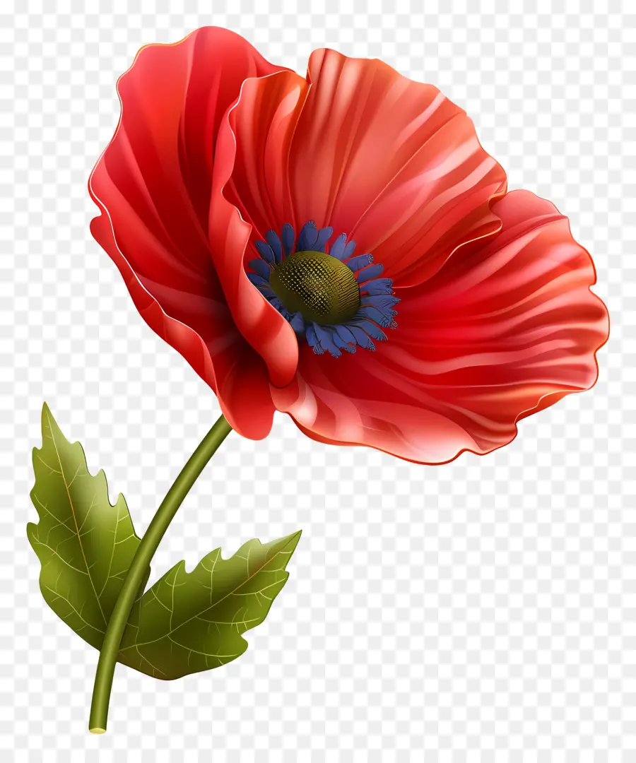 Anma Günü，Afyon çiçeği PNG