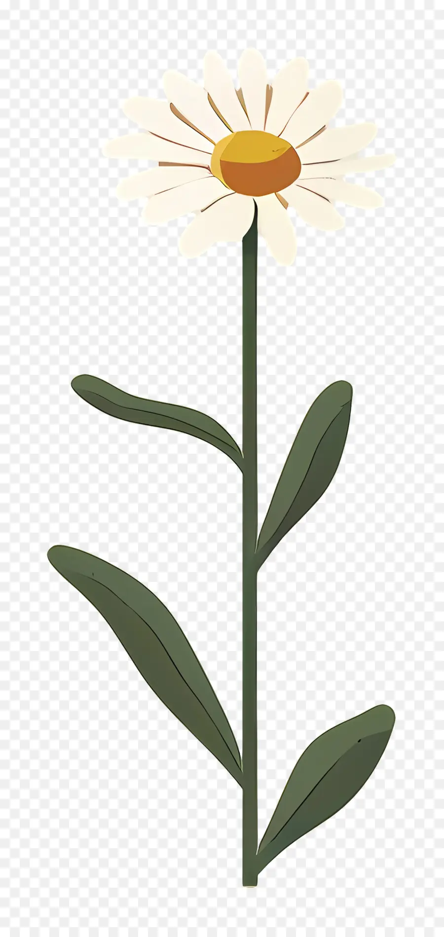 Papatya，çiçek PNG
