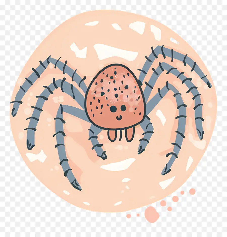 örümcek，Turuncu örümcek PNG