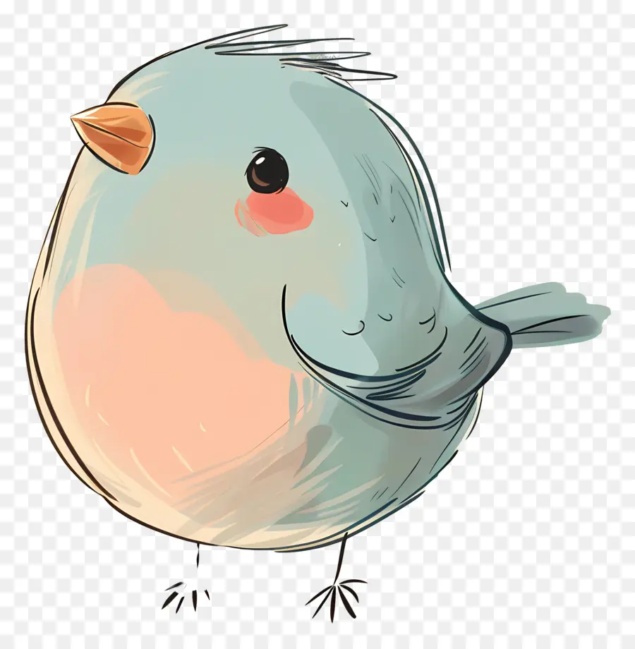 Karikatür Kuş，Mavi Tüy PNG