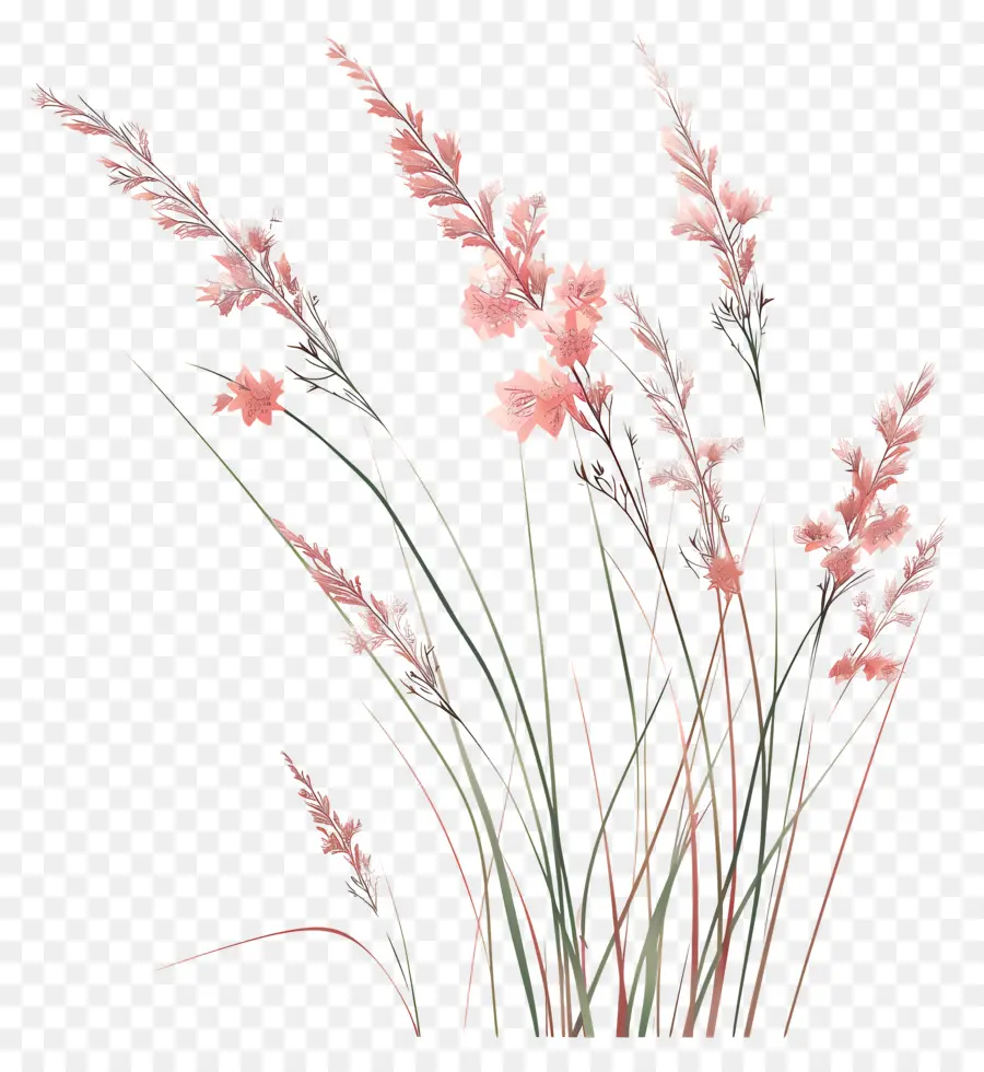 çiçek çimen，Uzun Boylu Ot PNG