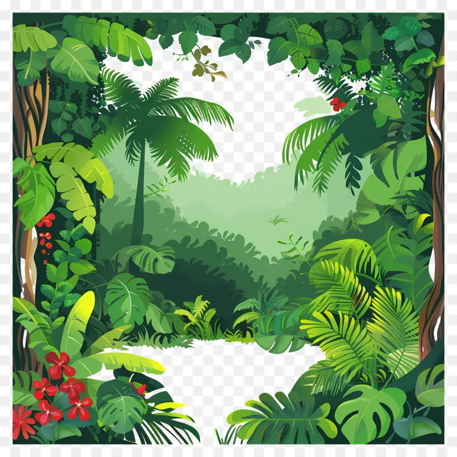 Orman Arka Planı，Tropikal Orman PNG
