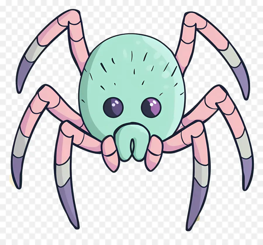 örümcek，Uzun Bacaklar PNG