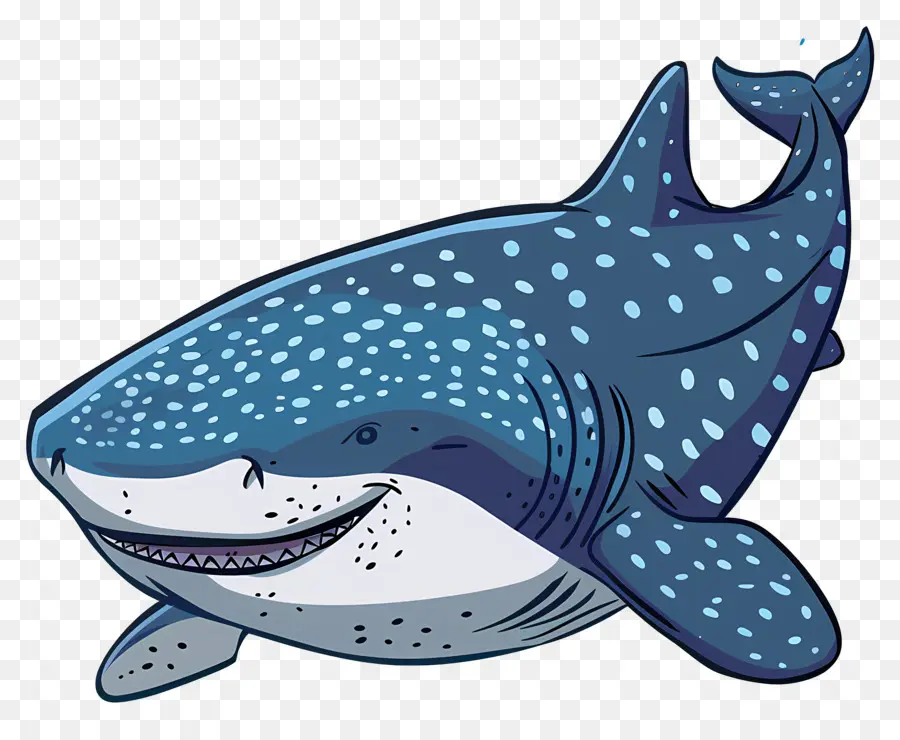 Balina Köpekbalığı，Dost Köpekbalığı PNG