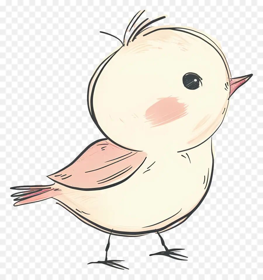 Karikatür Kuş，Küçük Kuş PNG