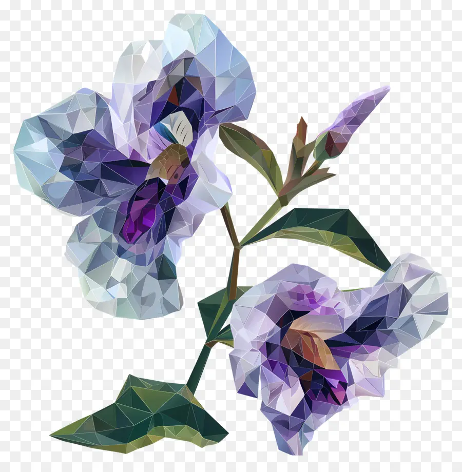 Dijital çiçek，Mor çiçekler PNG