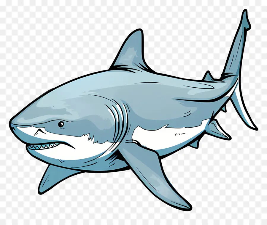 Boğa Köpekbalığı，Köpekbalığı PNG